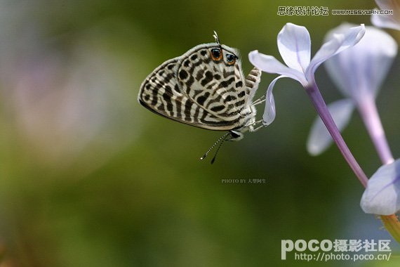 Ԕ���������B(t��i)�zӰ��ԓ�ʂ������