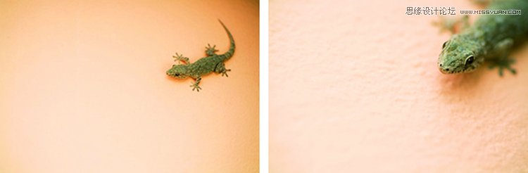 �����zӰ���D��ԓ��ȡ�����_ʼ