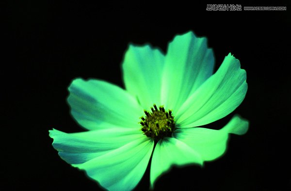 �����zӰ���D��ԓ��ȡ�����_ʼ