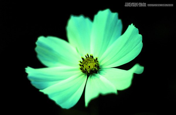 �����zӰ���D��ԓ��ȡ�����_ʼ