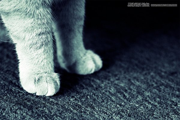 �����zӰ���D��ԓ��ȡ�����_ʼ