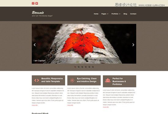 精心設計的免費HTML5和CSS3模板