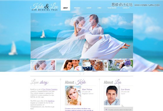 精心設計的免費HTML5和CSS3模板