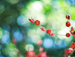 ���x�ձ��zӰ�����ܔzӰ��Ʒ���p