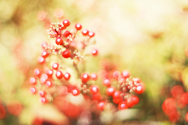 ���x�ձ��zӰ�����ܔzӰ��Ʒ���p