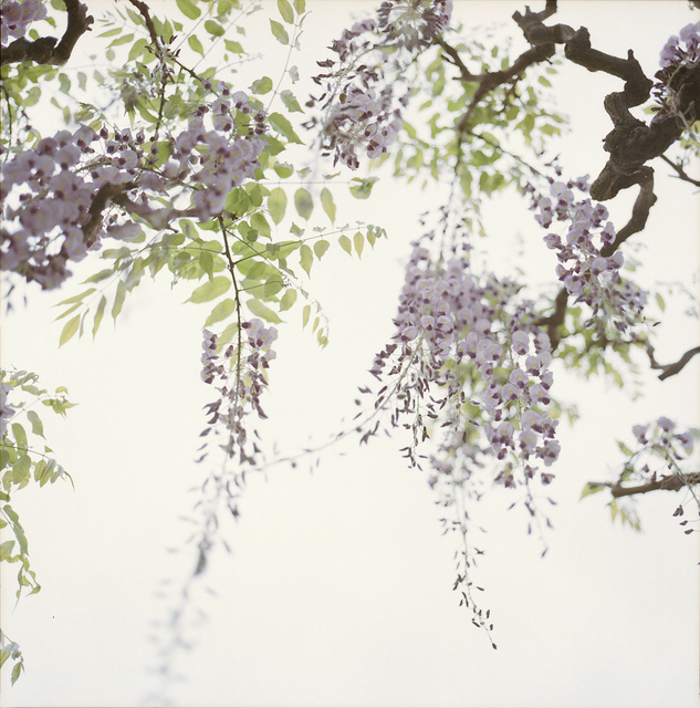 ���x�ձ��zӰ�����ܔzӰ��Ʒ���p