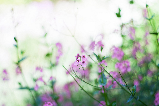 ���x�ձ��zӰ�����ܔzӰ��Ʒ���p