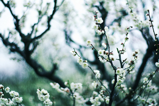 ���x�ձ��zӰ�����ܔzӰ��Ʒ���p