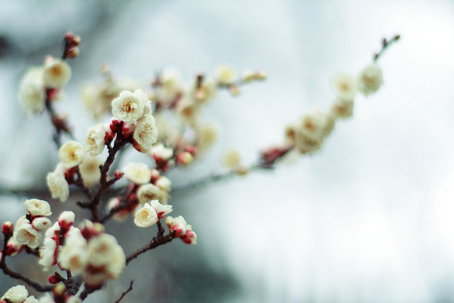 ���x�ձ��zӰ�����ܔzӰ��Ʒ���p