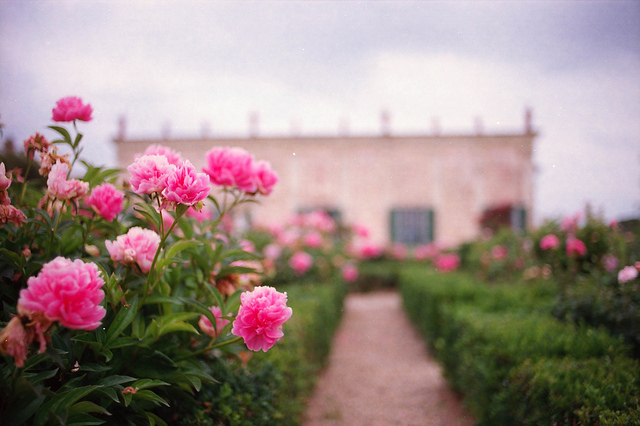 ���x�ձ��zӰ�����ܔzӰ��Ʒ���p