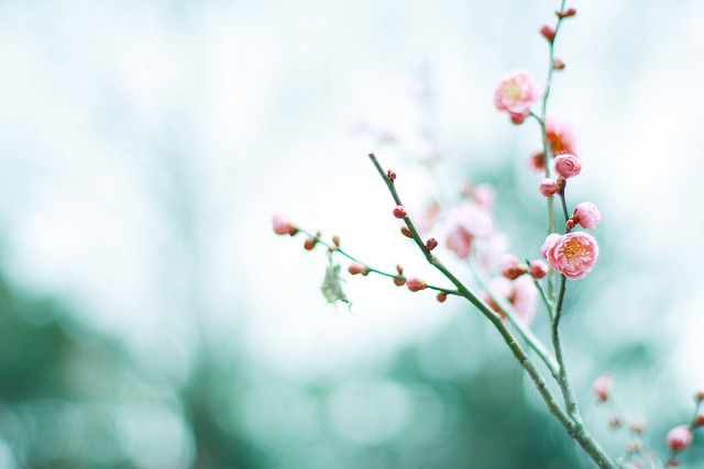 ���x�ձ��zӰ�����ܔzӰ��Ʒ���p