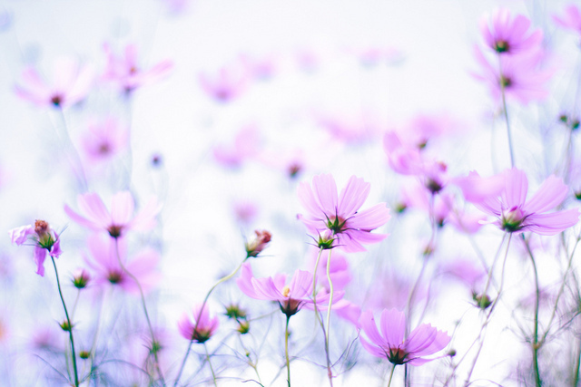 ���x�ձ��zӰ�����ܔzӰ��Ʒ���p