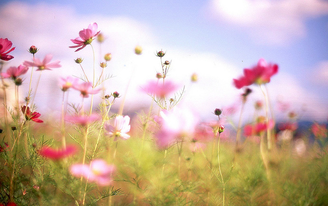 ���x�ձ��zӰ�����ܔzӰ��Ʒ���p