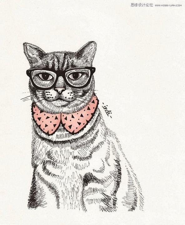 Indi Maverick�ɐۄ���宋�OӋ���p