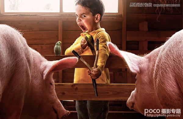 �zӰ���B��5�����õ�ץ�����T