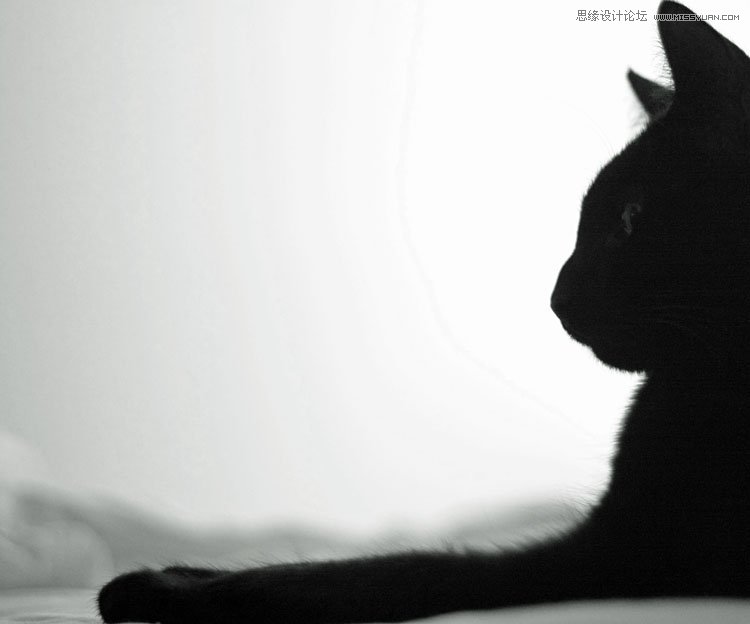 詳解8個拍攝黑白相片的入門技巧