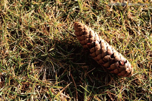 淺談拍好照片的6個攝影必然要素