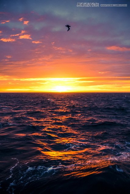 詳細(xì)解析極地?cái)z影必備裝備