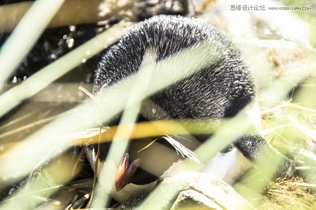 詳細(xì)解析極地?cái)z影必備裝備