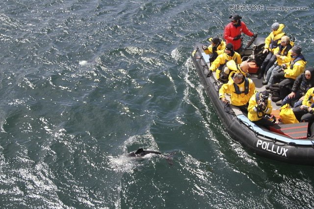 詳細(xì)解析極地?cái)z影必備裝備