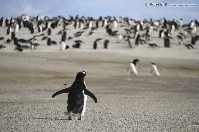 詳細(xì)解析極地?cái)z影必備裝備