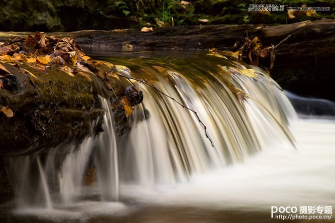 攝影常識助您學會拍攝動感照片