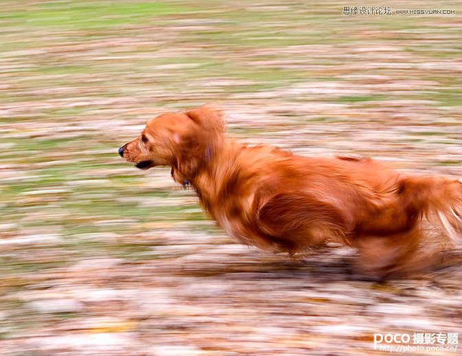 攝影常識助您學會拍攝動感照片