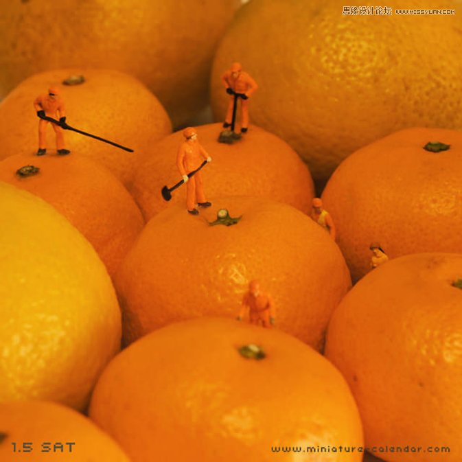 詳細解析Tanaka Tatsuya的微縮攝影