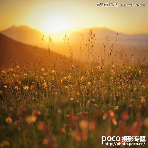 �Ĕz�r��ԓ���]5�N�����͜ʂ�