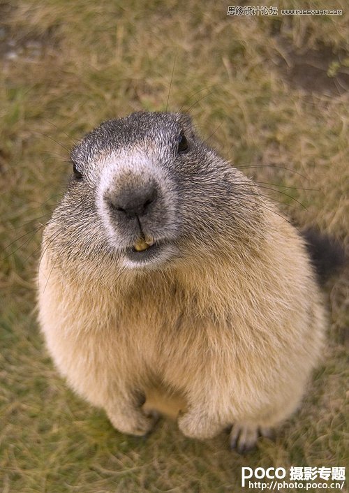 �Ĕz�r��ԓ���]5�N�����͜ʂ�