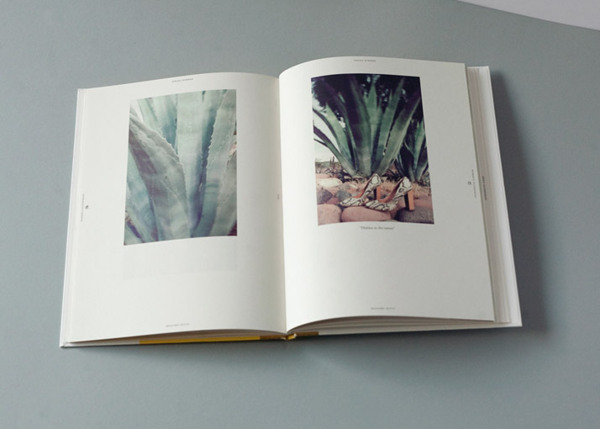 ���x���⺆���L���������OӋ���p