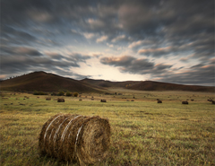 Photoshop�{���L����Ƭ���|����ɫЧ��