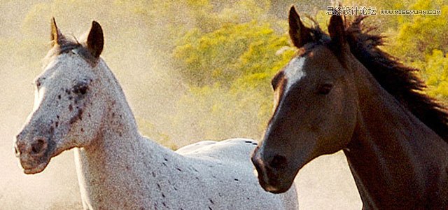 50����ٝ��PS������Ƭ�����̳�