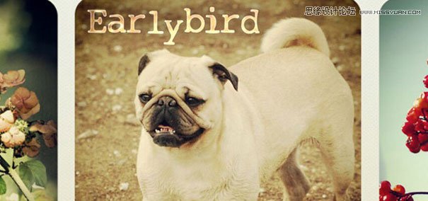 50����ٝ��PS������Ƭ�����̳�