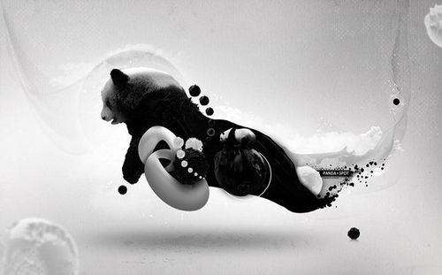 �r���L��ĳ������R��Ч����PS��Ʒ