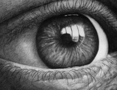 40��Ư��������۾��،��U�P�����p