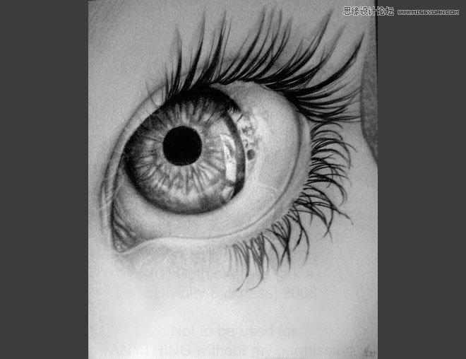 40��Ư��������۾��،��U�P�����p