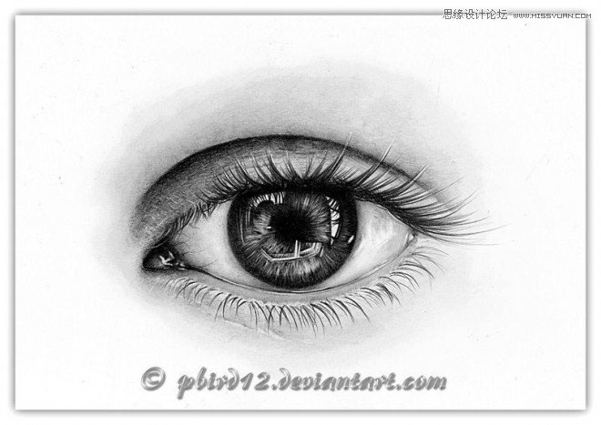 40��Ư��������۾��،��U�P�����p