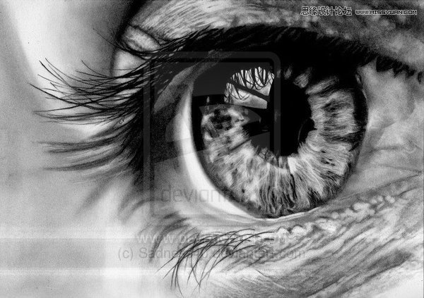 40��(g��)Ư��������۾��،��U�P�����p