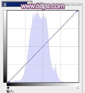 Photoshop�{����Ů��Ƭ���÷�ɫЧ��