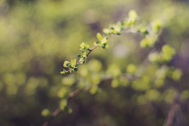 ���l���`�Є���ĔzӰ��Ʒ���p