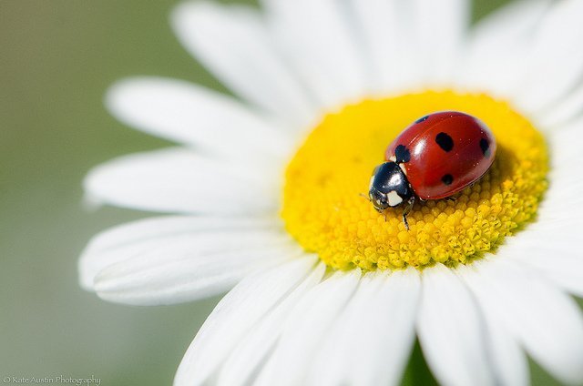 ���l���`�Є���ĔzӰ��Ʒ���p