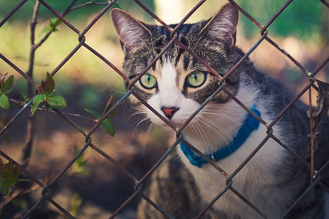 ���l(f��)���`�Є�(chu��ng)��ĔzӰ��Ʒ���p