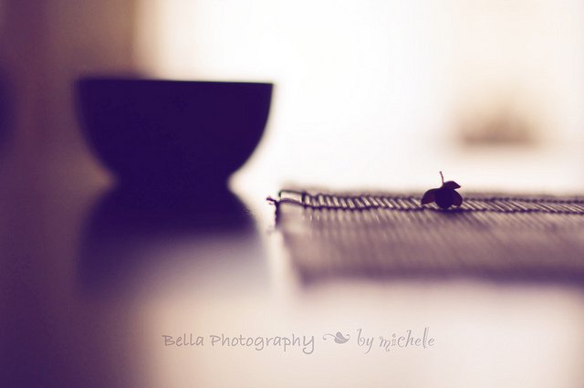 ���l���`�Є���ĔzӰ��Ʒ���p