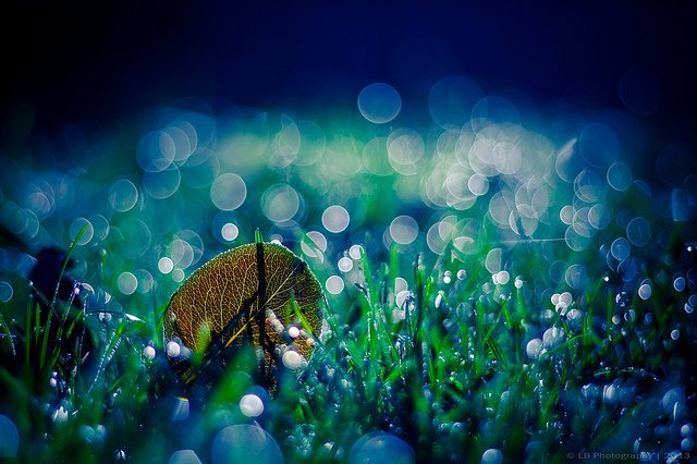 ���l���`�Є���ĔzӰ��Ʒ���p