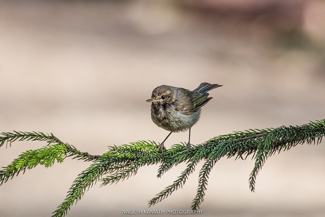 ���l(f��)���`�Є�(chu��ng)��ĔzӰ��Ʒ���p