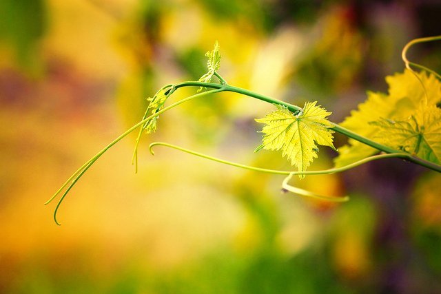 ���l���`�Є���ĔzӰ��Ʒ���p