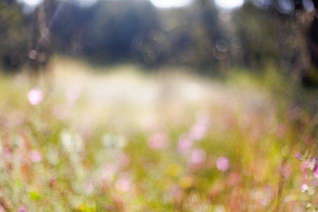 ���l(f��)���`�Є�(chu��ng)��ĔzӰ��Ʒ���p