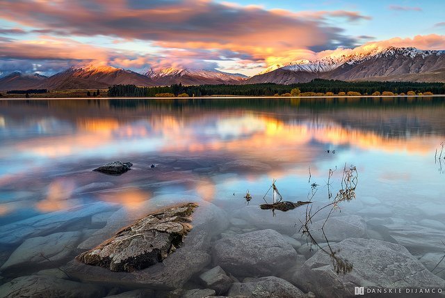 ���l���`�Є���ĔzӰ��Ʒ���p