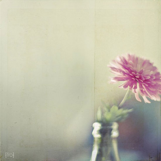 ���x��(gu��)��LOMO�L(f��ng)��(ji��n)��Ư���ĔzӰ��Ʒ